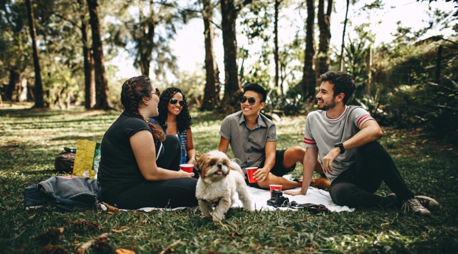 Friends having a fun picnic in the park with a Shih Tzu, enjoying a sunny day outdoors.